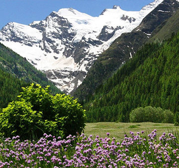 DISPOSIZIONI IN MATERIA DI AREE PROTETTE DISPOSIZIONI IN MATERIA DI AREE PROTETTE