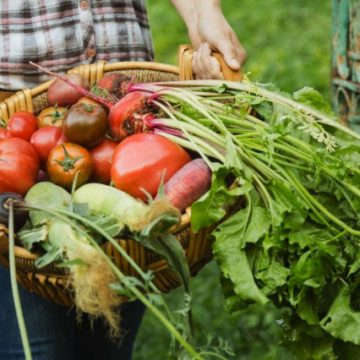 Per lo sviluppo dell’agricoltura biologica Per lo sviluppo dell’agricoltura biologica