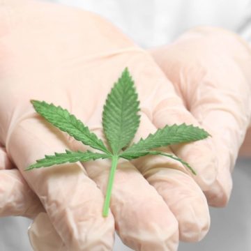 COLTIVAZIONE E SOMMINISTRAZIONE DELLA CANNABIS AD USO MEDICO